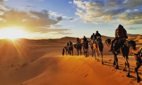 Much of the Radhanites' overland trade between Tangier and Mesopotamia was by camel. Source: Gaper / Adobe Stock