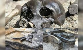 Remains of 82 individuals have be recovered from the Alken Enge site.