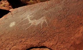 Detail of the kudu engraving which is said to depict female initiation rituals in the Namib desert thousands of years ago. 