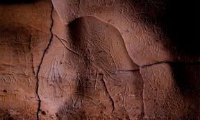 Paleolithic rock art found on walls of Font Major Cave near L'Espluga de Francolí        Source: Generalitat de Catalunya