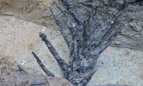 Roman defensive spikes found at Bad Ems.	Source: Frederic Auth/Aktuelles Uni