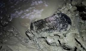 The Roman sandal in situ, discovered in Lugo de Llanera, Asturias.      Source: Esperanza Martin/Astures