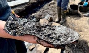 Remains of the large shoe recovered at the Magna Roman Fort site, England.