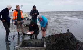 A special metal frame allows archaeological digs of one square meter in the area the Rungholt church has been detected on the tidal flats. Source: Universitaet Mainz