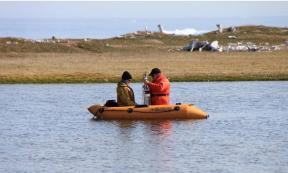 Sampling crew collecting a sediment core at PaJs-13, a Thule-Inuit site on Somerset Island, Nunavut, with the remnants of whalebone houses visible in the background.	Source: Jules Blais/University of Ottawa