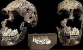 Three-quarter and frontal views of Homo naledi skull from Lesedi Chamber, South Africa. Inset; Image Homo naledi remains in situ at Rising Star cave