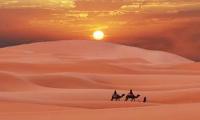 A new study has found links between the end of the Green Sahara, the era when the Sahara Desert was lush and green, and the Southeast Asian megadrought that lasted a millennium. Source: Galyna Andrushko / Adobe Stock