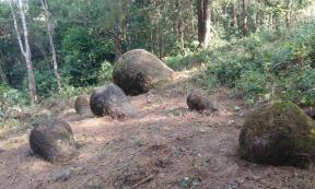 The 65 sandstone jars were found scattered over four sites in the north-eastern state of Assam, India.	 Source: Tilok Thakuria et al., Asian Archaeology, 2022