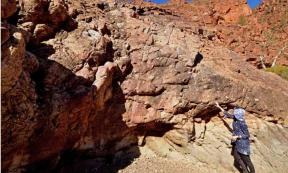 Deposits from the Sturtian Glaciation 717¬–664 million years ago in the northern Flinders Ranges, Australia. Research lead author Dr Adriana Dutkiewicz pointing to a thick bed of glacial deposits.  Source:  Professor Dietmar Müller/University of Sydney