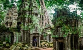 Ta Prohm. Source:  jon_chica / Adobe Stock.