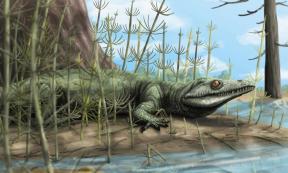 Artistic representation of Teyujagua paradoxa. 