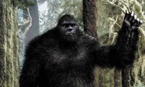  “Big Foot” 