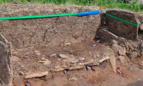 The chamber under excavation. East side mould removed. The plastic tubes are samples for environmental DNA. Source: Karl-Göran Sjögren / University of Gothenburg