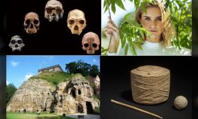 Weekly Top Stories: A Quick Catch Up On What You Missed