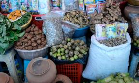traditional medicine, Cambodia, healers, ingredients, healthcare