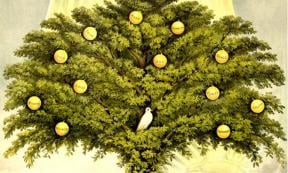 Tree of Life