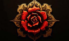 Illustration of a Tudor rose. The Tudor rose symbolized unity under the Tudors, merging the white rose of York and red rose of Lancaster.  Source: Cassidy / Adobe Stock