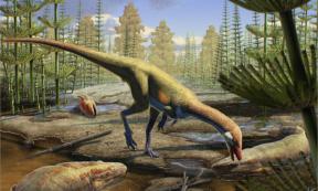 An artist’s rendering shows how Ahvaytum bahndooiveche may have appeared in a habitat dating to around 230 million years ago. 