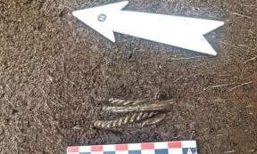 Untouched Viking Silver Treasure Unearthed in Norway
