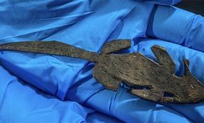 Shot of an archaeologist holding the leather prank mouse found in the Roman fort of Vindolanda.      Source: Vindolanda Trust