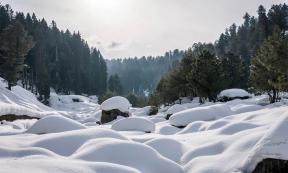 Remembering Winter in Kashmir: Shaping A Collective Memory of the Past
