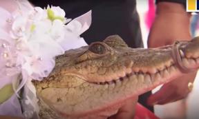 This alligator in San Pedro Huamelula, Oaxaca, Mexico is about to be “married” to the mayor! Source: YouTube screenshot / SCMP