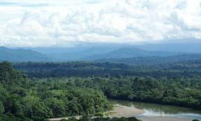 Ecuadorian Amazon rainforest, with the Andes visible in the background.