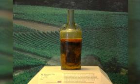 The Speyer wine bottle (Carole Raddato / CC by SA 2.0)
