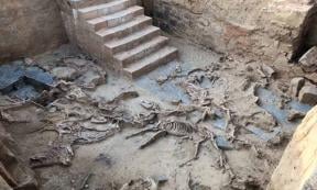 Evidence of animal sacrifice, many of them horses, at the courtyard of the Casas del Turuñuelo site in Spain. Source: Construyendo Tarteso / CC-BY 4.0