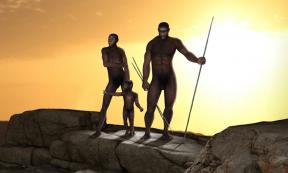 Representation of the bipedal hominins Homo erectus, one of Homo sapiens’ ancestors. Source: ratpack223 /Adobe Stock