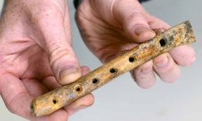 Striking the Right Note - Rare Bone Flute Unearthed in Kent
