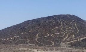 Giant Cat Geoglyph Found Near the Mysterious Nazca Lines