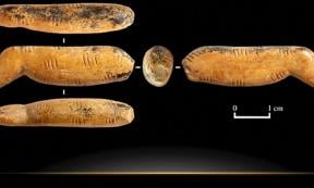 The cave lion figurine found recently in Siberia’s Denisova Cave.        Source: The Siberian Times