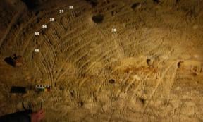 Children’s fluting examples from G4 panel from Rouffignac cave.