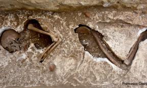 Evidence of cholera outbreak