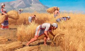 Minoan Bronze Age family harvesting grain. The new study posits that cousins married to protect their family farmland. Source: Nikola Nevenov / Nature