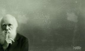Darwin Theory