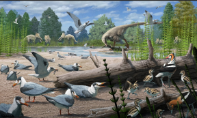 Illustration: dinosaurs and birds.