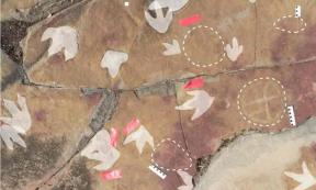 Dinosaur tracks in highlight and petroglyphs circled by dashed lines. Source: Troiano, et al., Scientific Reports 2024