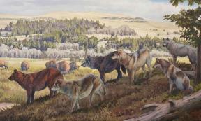 Indigenous dogs of America. Source: dinopedia