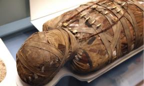 An Egyptian mummy