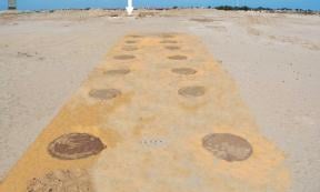  Aerial view of planting circles and road, leading to fortress ruins indicated in the distance.