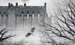 Edinburgh Castle is reputed to be one of the most haunted monuments in the world! This is unsurprising, given all the bloodshed it’s seen since the 12th century.	Source: Savvapanf Photo / Adobe Stock