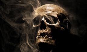 A replica skull has been stolen from a haunted pub in York. Source: bint87 / Adobe Stock