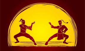 Graphic of two kung fu fighters in moonlight. Source: silla5775 / Adobe Stock