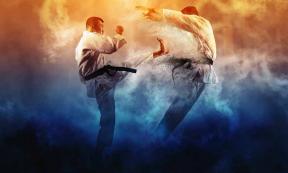 Two men practicing karate	Source: Andrey Burmakin / Adobe Stock