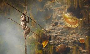 A honey collecting honey hunter in Nepal. Source: Andrew Newey