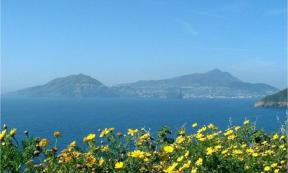 Island of Ischia.