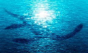 Lake monster. Source: lubomira08 / Adobe Stock