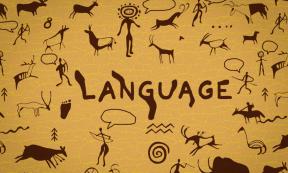 Image showing some of the first examples of written language, in pictorial form.